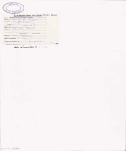 Symphyotrichum novi-belgii (L.) G.L. Nesom