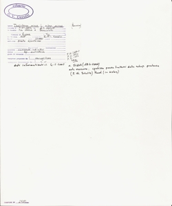 Thalictrum minus L. subsp. minus