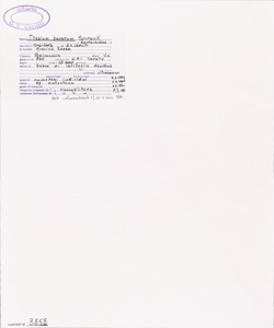 Thesium bavarum Schrank