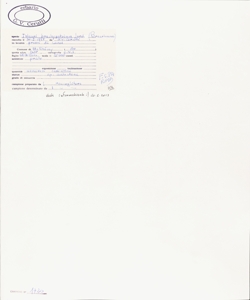 Thlaspi brachypetalum Jord.