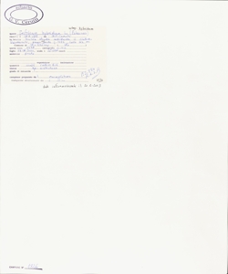 Trifolium hybridum L. subsp. hybridum