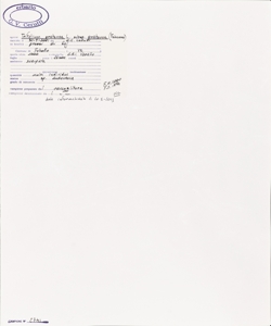 Trifolium pratense L. subsp. pratense