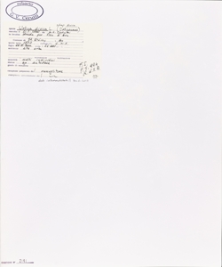 Urtica dioica L. subsp. dioica