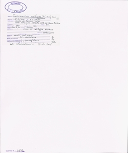 Trochiscanthes nodiflora (All.) W.D.J. Koch