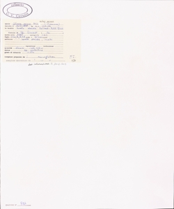 Ulmus minor Mill. subsp. minor