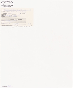 Veronica urticifolia Jacq.