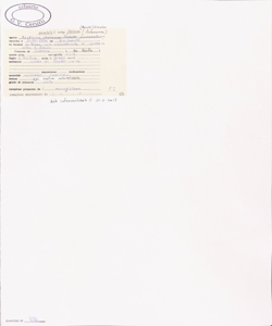 Xanthium orientale L. subsp. italicum (Moretti) Greuter