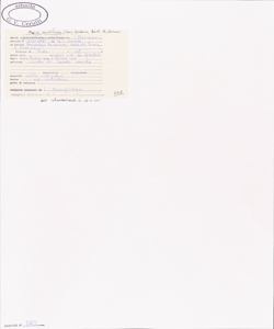 Malva multiflora (Cav.) Soldano, Banfi & Galasso