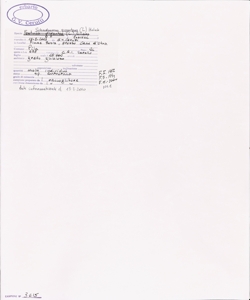 Schoedonorus giganteus (L.) Holub