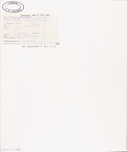 Solanum linnaeanum Hepper & P.-M.L. Jaeger