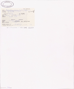 Reynoutria japonica Houtt. var. japonica