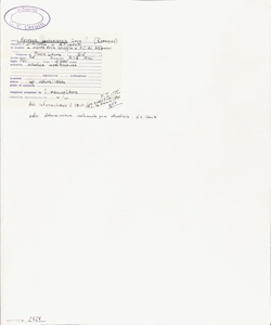 Spiraea cantoniensis Lour.