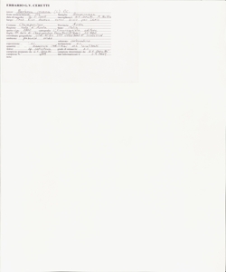 Berteroa incana (L.) DC.