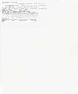 Reynoutria x bohemica Chrtek & Chrtkov¿