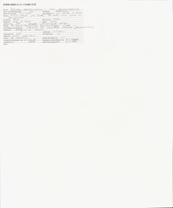 Echinops sphaerocephalus L. subsp. sphaerocephalus