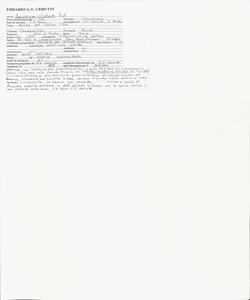 Epilobium ciliatum Raf.