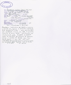 Peucedanum venetum (Spreng.) W.D.J. Koch