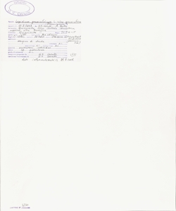 Lepidium graminifolium L. subsp. graminifolium