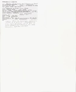 Achillea stricta (W.D.J. Koch) Schleich. ex Gremli