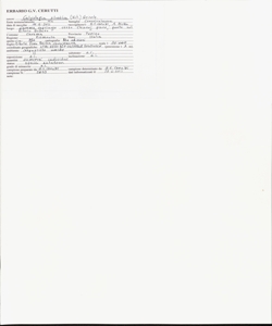 Calystegia silvatica (Kit.) Griseb.