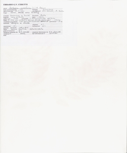 Sorbaria sorbifolia (L.) A. Braun