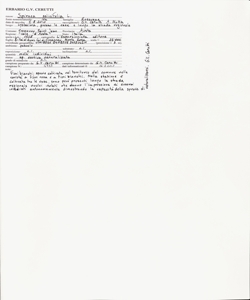 Spiraea salicifolia L.