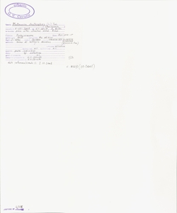 Matteuccia struthiopteris (L.) Tod.