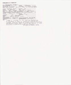 Rudbeckia triloba L.