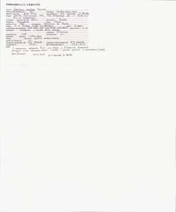 Deutzia scabra Thunb.