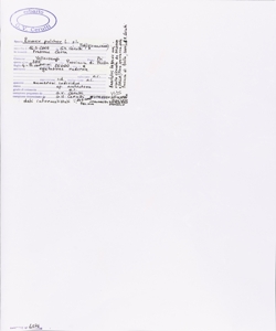 Rumex pulcher L. s.l.