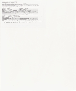 Schoenoplectus mucronatus (L.) Palla