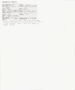 Securigera varia (L.) Lassen