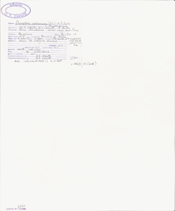 Dryopteris carthusiana (Vill.) H.P. Fuchs