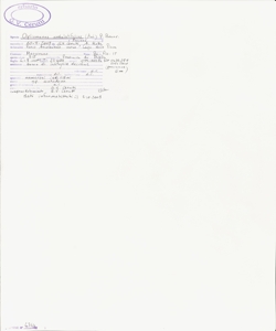 Oplismenus undulatifolius (Ard.) P. Beauv.