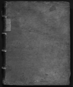 Tractatus criminalis D. Tiberii Deciani Vtinensis, ... Volume 2 