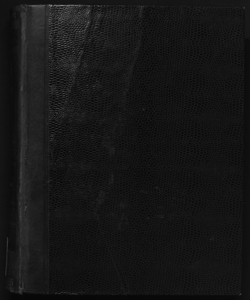 Il digesto italiano enciclopedia metodica e alfabetica di legislazione, dottrina e giurisprudenza ... diretta da Luigi Lucchini... Volume 9.2