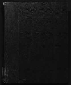 Il digesto italiano enciclopedia metodica e alfabetica di legislazione, dottrina e giurisprudenza ... diretta da Luigi Lucchini... Volume 21.1 diretto [da] Pasquale Fiore